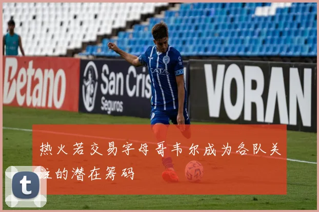 热火若交易字母哥韦尔成为各队关注的潜在筹码